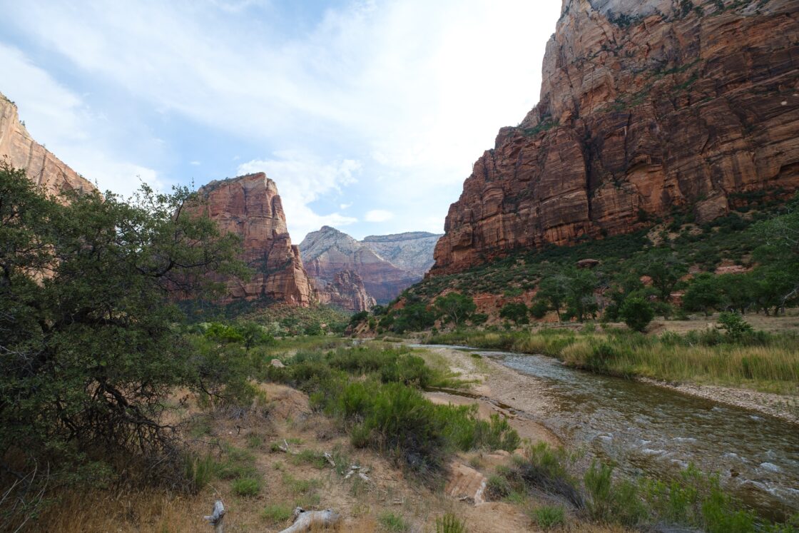 Pott Servation Cocon Travel - Through and out in National Parks of USA 🏞️